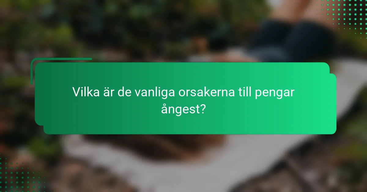 Vilka är de vanliga orsakerna till pengar ångest?