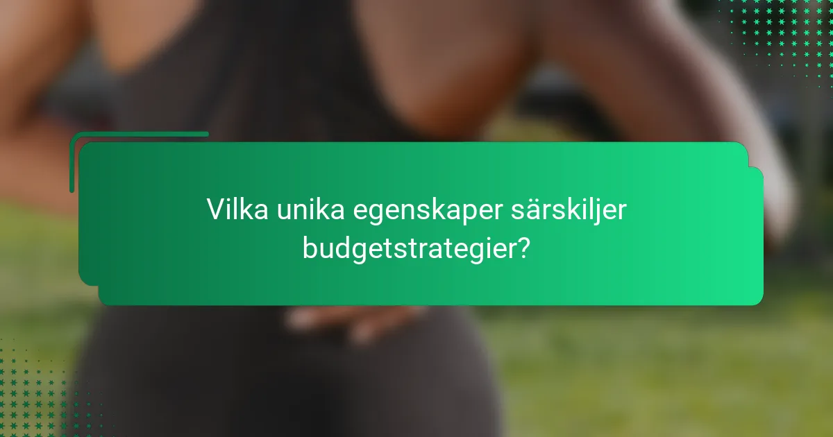 Vilka unika egenskaper särskiljer budgetstrategier?