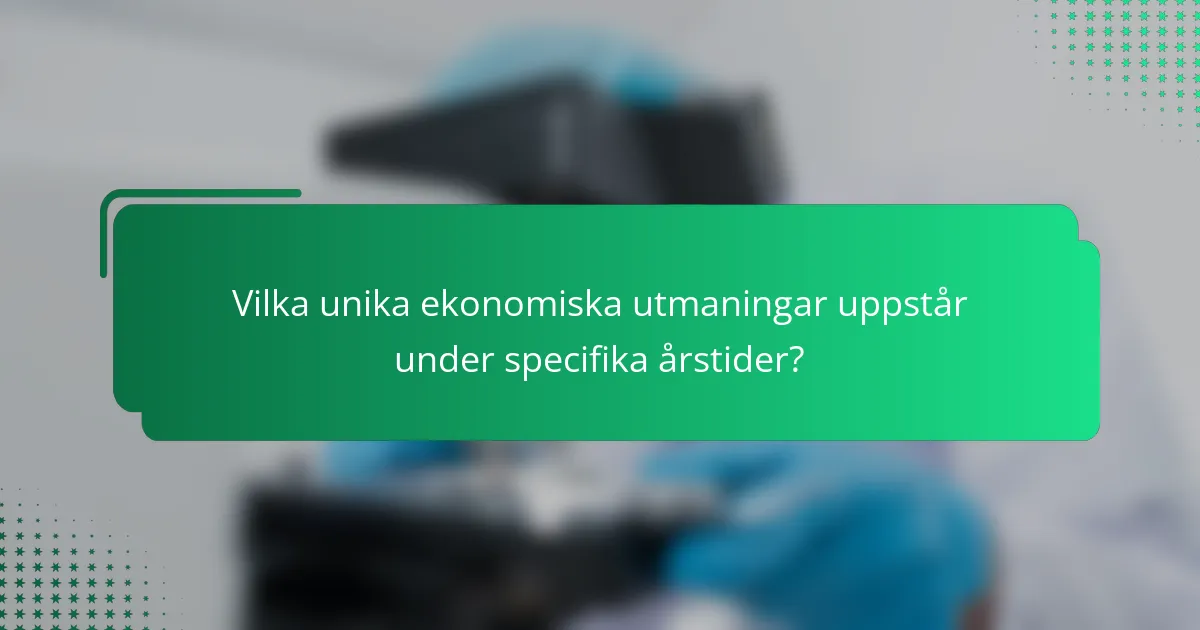 Vilka unika ekonomiska utmaningar uppstår under specifika årstider?