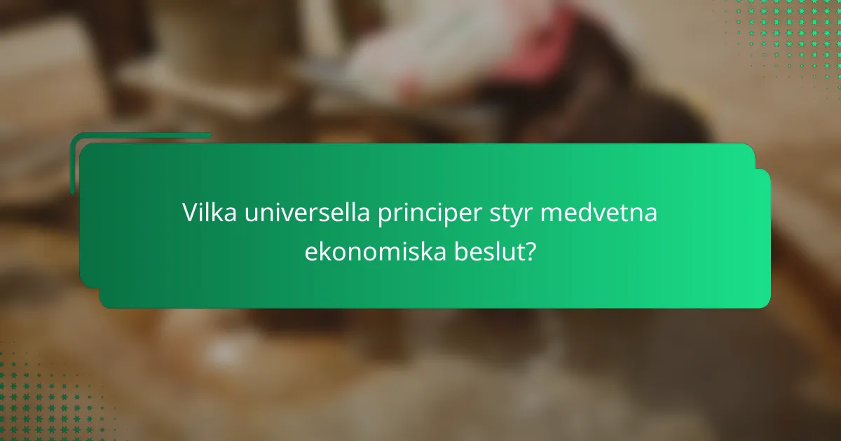 Vilka universella principer styr medvetna ekonomiska beslut?